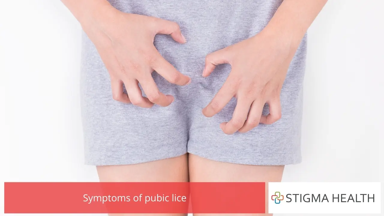 Symptoms of pubic lice