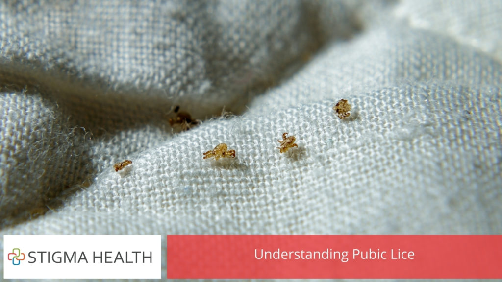Understanding Pubic Lice